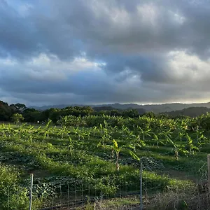 Maleka Farm: Tent Glamping North Shore Oahu Campsite Laie